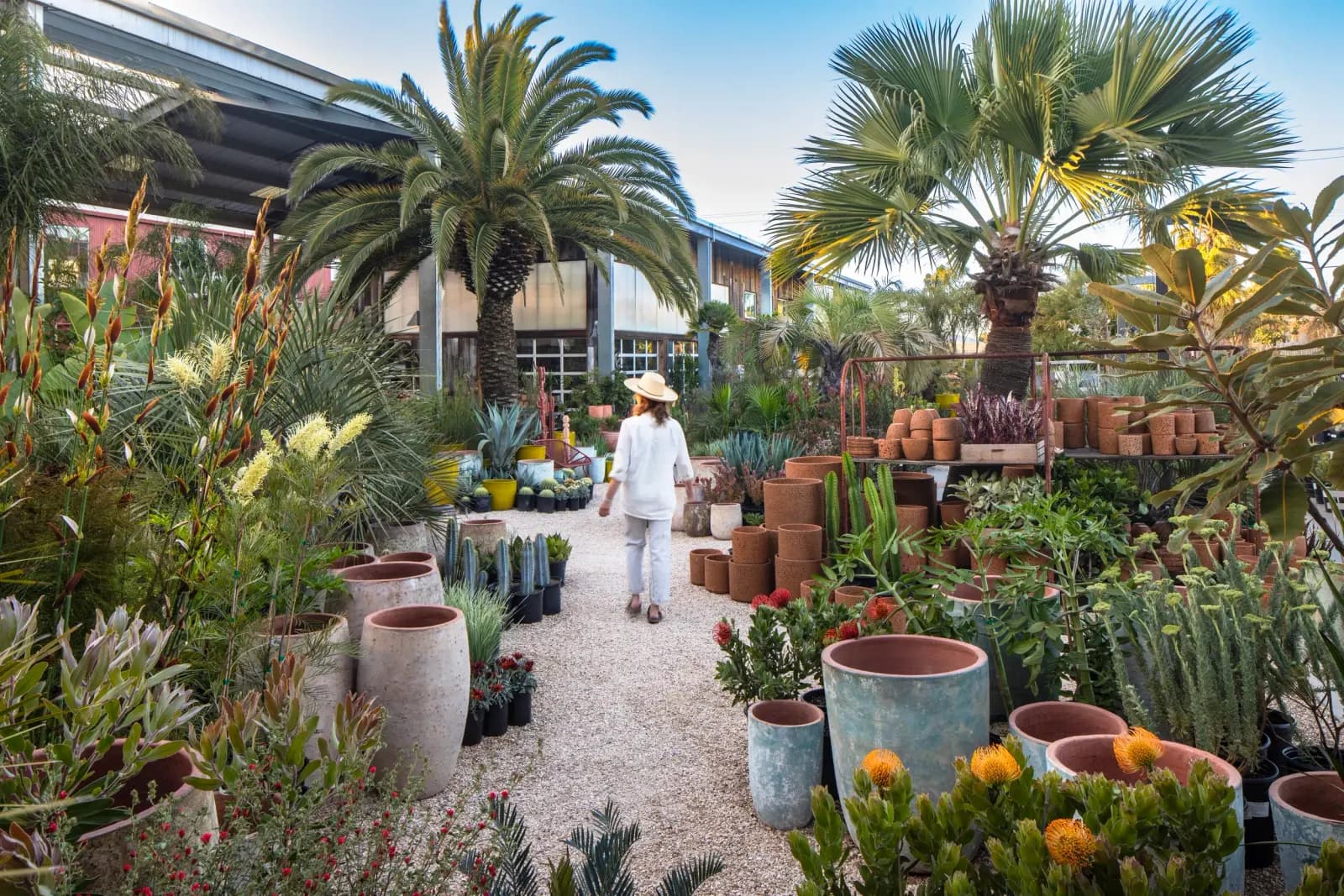 A woman in white walking through a lush garden center with various potted plants and succulents, tall palm trees, and a building in the background.