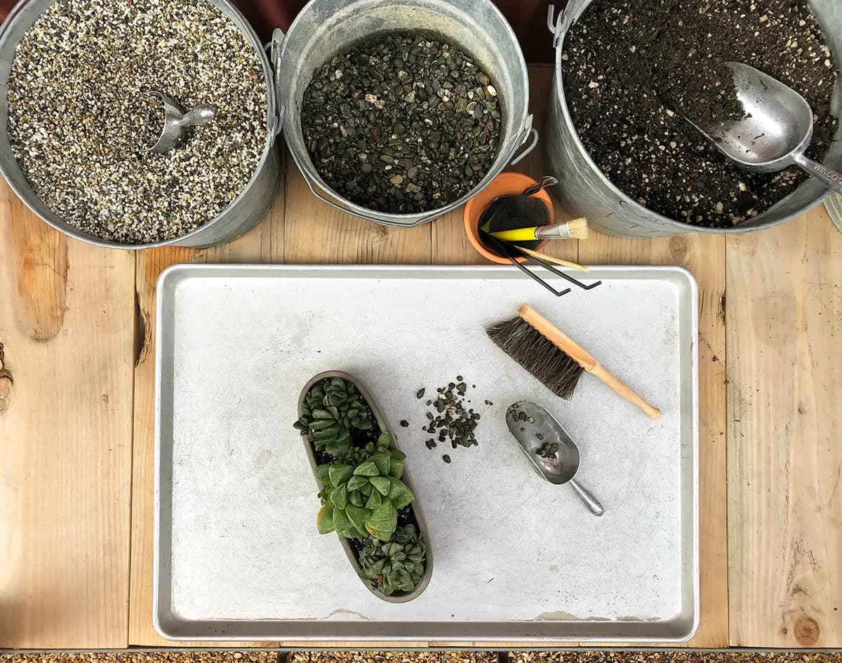 The flora grubb gardens potting bench at the repotting station with a wooden table with large buckets of soil and gravel, a small plants , a cleaning brush, and a scoop on a metal tray.