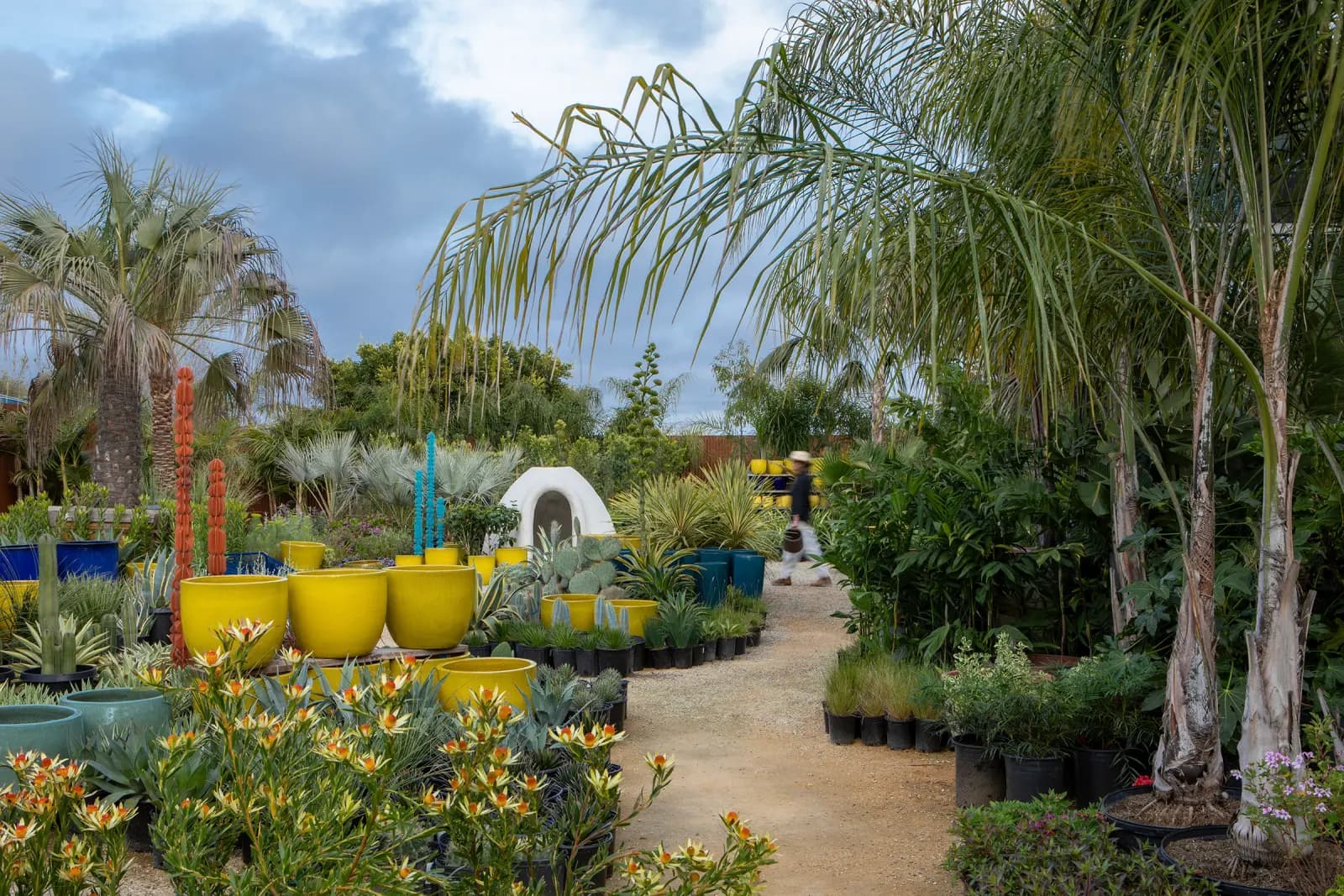A nursery with various potted plants, succulents, and cacti, with a person walking along a dirt path under a cloudy sky.